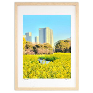 版画 菜の花畑 (Rito)インテリア 壁掛け 額入り 風景画 ポスター アート リビング 玄関に飾る 風水 プレゼント モダン アートフレーム