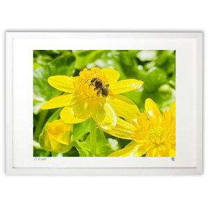 ŉ PO~AÎ₫ (P)CeA Ǌ| z i |X^[ A[g rO ւɏ  v[g _ A[gt[