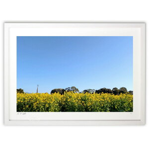 版画 菜の花と青空 (okiron)インテリア 壁掛け 額入り 風景画 ポスター アート リビング 玄関に飾る 風水 プレゼント モダン アートフレーム