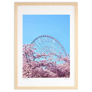 ŉ ͒ÍƊϗ (Rito)CeA Ǌ| z i |X^[ A[g rO ւɏ  v[g _ A[gt[