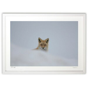 yX[p[SALEzzŉ L^Lcl (c aK)CeA Ǌ| z i |X^[ A[g rO ւɏ  v[g _ A[gt[