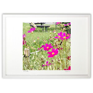 ŉ ̃RXX ()CeA Ǌ| z i |X^[ A[g rO ւɏ  v[g _ A[gt[