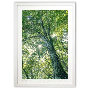 ŉ ΂܂Ƃui (bluewoods07)