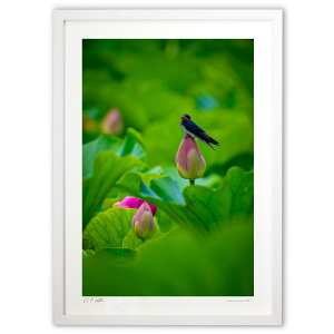 ŉ ǂ@ (bluewoods07)CeA Ǌ| z i |X^[ A[g rO ւɏ  v[g _ A[gt[