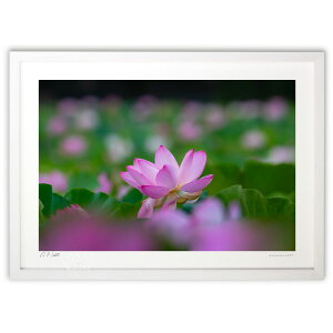 ŉ _炩Ș@Ƃ̏o (bluewoods07)