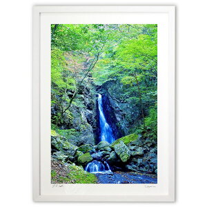 yX[p[SALEzzŉ n̑ (mitan)CeA Ǌ| z i |X^[ A[g rO ւɏ  v[g _ A[gt[