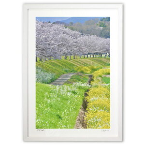 ŉ ߌ̉Ԍ (mitan)CeA Ǌ| z i |X^[ A[g rO ւɏ  v[g _ A[gt[