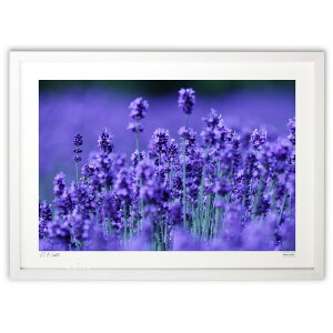 �ŉ� �� (Shuma_mashU)�C���e���A �Ǌ|�� �z���� ���i�� �|�X�^�[ �A�[�g ���r���O ���ւɏ��� ���� �v���[���g ���_�� �A�[�g�t���[��