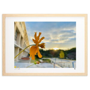 ŉ [zƂƂɗh (P)CeA Ǌ| z i |X^[ A[g rO ւɏ  v[g _ A[gt[