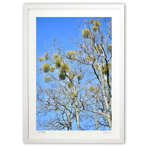 ŉ h (mitan)CeA Ǌ| z i |X^[ A[g rO ւɏ  v[g _ A[gt[