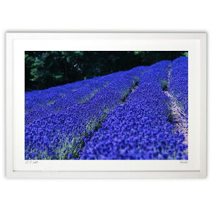 �ŉ� ���x���_�[�� (Shuma_mashU)�C���e���A �Ǌ|�� �z���� ���i�� �|�X�^�[ �A�[�g ���r���O ���ւɏ��� ���� �v���[���g ���_�� �A�[�g�t���[��