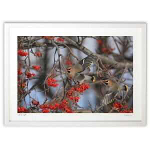 yX[p[SALEzzŉ ̃og (c aK)CeA Ǌ| z i |X^[ A[g rO ւɏ  v[g _ A[gt[