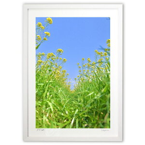 ŉ Ɋt2 (mitan)CeA Ǌ| z i |X^[ A[g rO ւɏ  v[g _ A[gt[