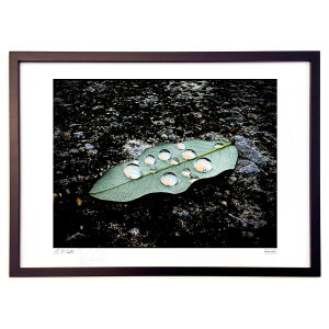 �ŉ� �J�̖Y�ꕨ (Shuma_mashU)�C���e���A �Ǌ|�� �z���� ���i�� �|�X�^�[ �A�[�g ���r���O ���ւɏ��� ���� �v���[���g ���_�� �A�[�g�t���[��