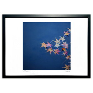 ŉ H̏I (kazufumi)CeA Ǌ| z i |X^[ A[g rO ւɏ  v[g _ A[gt[