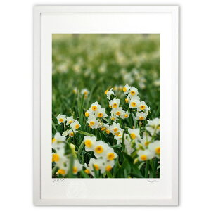 版画 水仙花壇 (Rito)インテリア 壁掛け 額入り 風景画 ポスター アート リビング 玄関に飾る 風水 プレゼント モダン アートフレーム