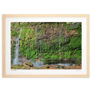 yX[p[SALEzzŉ ۑ2 (mitan)CeA Ǌ| z i |X^[ A[g rO ւɏ  v[g _ A[gt[