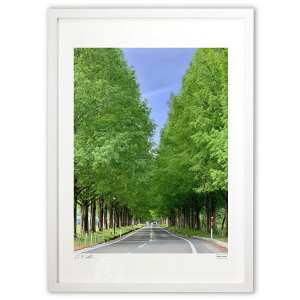 ŉ V΂̃^ZRCA (Shuma_mashU)