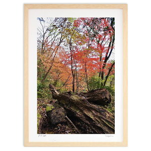 ŉ  (mitan)CeA Ǌ| z i |X^[ A[g rO ւɏ  v[g _ A[gt[