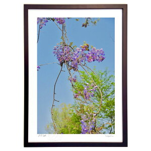 版画 フリーボーン (mitan)インテリア 壁掛け 額入り 風景画 ポスター アート リビング 玄関に飾る 風水 プレゼント モダン アートフレーム