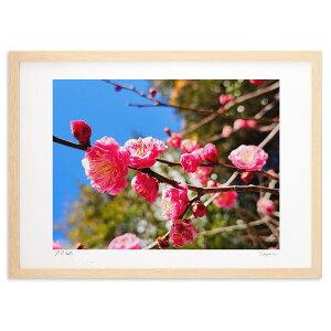 ŉ ~Ɛ (񂿂)CeA Ǌ| z i |X^[ A[g rO ւɏ  v[g _ A[gt[