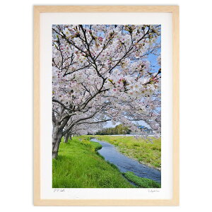 版画 お花見 (mitan)インテリア 壁掛け 額入り 風景画 ポスター アート リビング 玄関に飾る 風水 プレゼント モダン アートフレーム