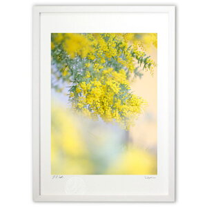 �ŉ� �ӂ���~���U (�����珄)�C���e���A �Ǌ|�� �z���� ���i�� �|�X�^�[ �A�[�g ���r���O ���ւɏ��� ���� �v���[���g ���_�� �A�[�g�t���[��