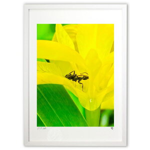 ŉ FO~ƍK (P)CeA Ǌ| z i |X^[ A[g rO ւɏ  v[g _ A[gt[