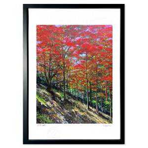 ŉ ݂RR (Art Dream Awaji)