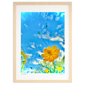 ŉ ƃRXX (P)CeA Ǌ| z i |X^[ A[g rO ւɏ  v[g _ A[gt[