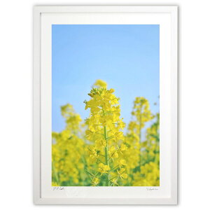 ŉ ɗh؂̉ (w)CeA Ǌ| z i |X^[ A[g rO ւɏ  v[g _ A[gt[