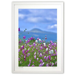 ŉ 悮RXX (mitan)CeA Ǌ| z i |X^[ A[g rO ւɏ  v[g _ A[gt[