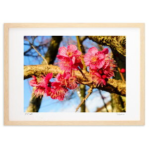 ŉ t (ӂ)CeA Ǌ| z i |X^[ A[g rO ւɏ  v[g _ A[gt[