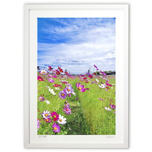 ŉ H (mitan)CeA Ǌ| z i |X^[ A[g rO ւɏ  v[g _ A[gt[