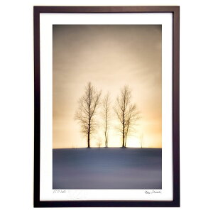 �ŉ� Trees lined up in the snow field (Hiro Morioka)