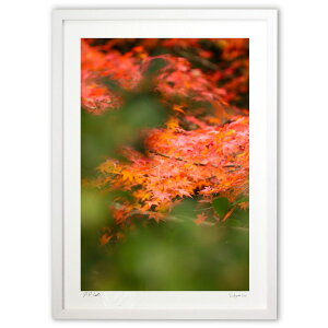 ŉ hH (maki)CeA Ǌ| z i |X^[ A[g rO ւɏ  v[g _ A[gt[