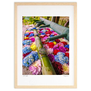 yX[p[SALEzzyƂ̍iz̉Ԏ萅͐ɂ'W'Ƃł͂܂Aw򒹂̉ɂ鎛'