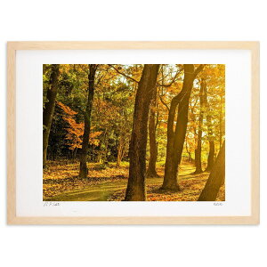 ŉ Hؘ̖R (Ղ)CeA Ǌ| z i |X^[ A[g rO ւɏ  v[g _ A[gt[