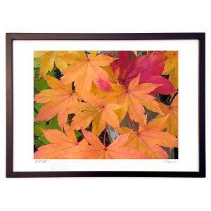 ŉ H̐F (_@)CeA Ǌ| z i |X^[ A[g rO ւɏ  v[g _ A[gt[