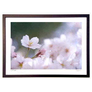 版画 花雲の中に (千鶴)インテリア 壁掛け 額入り 風景画 ポスター アート リビング 玄関に飾る 風水 プレゼント モダン アートフレーム