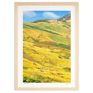 ŉ ȞR ( i)CeA Ǌ| z i |X^[ A[g rO ւɏ  v[g _ A[gt[