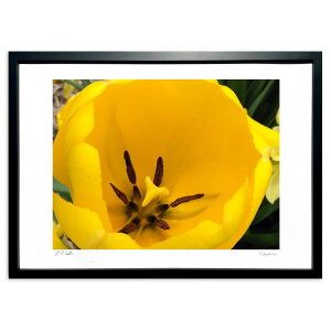 版画 春に必ず見たくなる光景 (神月院)インテリア 壁掛け 額入り 風景画 ポスター アート リビング 玄関に飾る 風水 プレゼント モダン アートフレーム