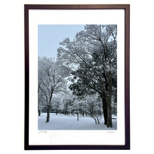 ŉ ~̓̒ (mucoa)CeA Ǌ| z i |X^[ A[g rO ւɏ  v[g _ A[gt[