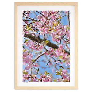 ŉ ͒ÍƃW (mitan)CeA Ǌ| z i |X^[ A[g rO ւɏ  v[g _ A[gt[