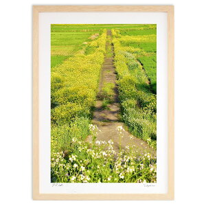 ŉ ؂̉ԉL (mitan)CeA Ǌ| z i |X^[ A[g rO ւɏ  v[g _ A[gt[