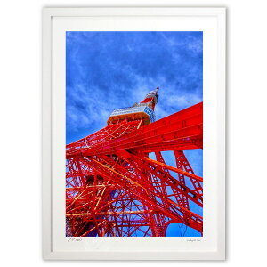 ŉ ނ^[ (blackswan)CeA Ǌ| z i |X^[ A[g rO ւɏ  v[g _ A[gt[