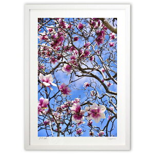 ŉ ؘ@ (mitan)CeA Ǌ| z i |X^[ A[g rO ւɏ  v[g _ A[gt[