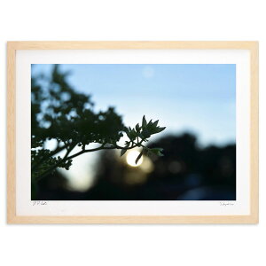 ŉ [̐F (RR)CeA Ǌ| z i |X^[ A[g rO ւɏ  v[g _ A[gt[