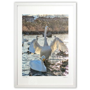 yX[p[SALEzzŉ ΂L (VՂ܂񂶂イ)CeA Ǌ| z i |X^[ A[g rO ւɏ  v[g _ A[gt[