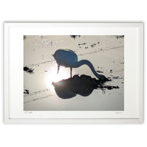 yX[p[SALEzzŉ ̃VGbg (VՂ܂񂶂イ)CeA Ǌ| z i |X^[ A[g rO ւɏ  v[g _ A[gt[